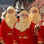 zum Faschingszug 2011